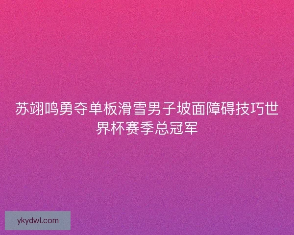苏翊鸣勇夺单板滑雪男子坡面障碍技巧世界杯赛季总冠军