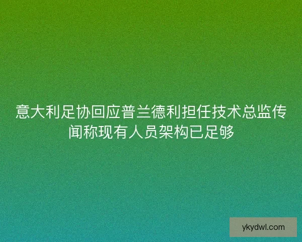 意大利足协回应普兰德利担任技术总监传闻称现有人员架构已足够